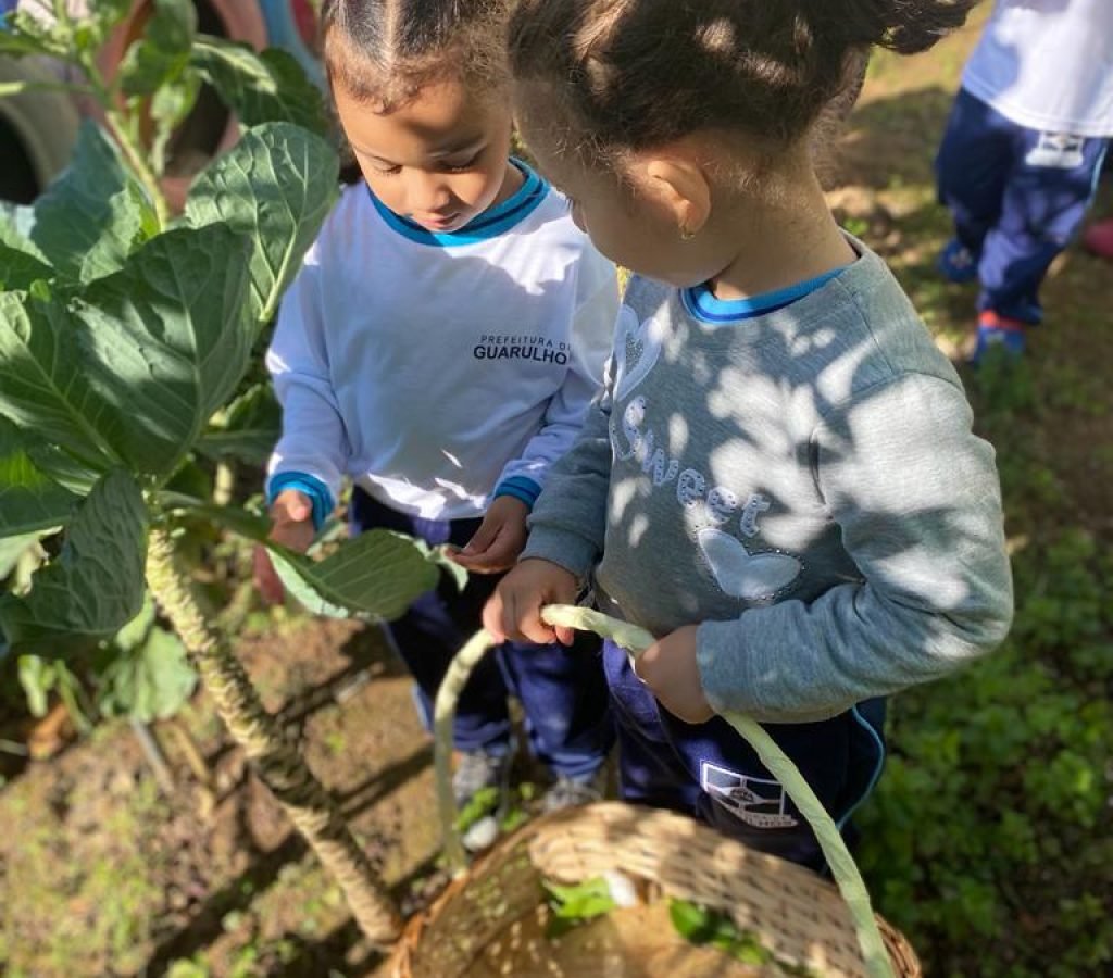 WhatsApp Image 2023-11-17 at 15.22.27